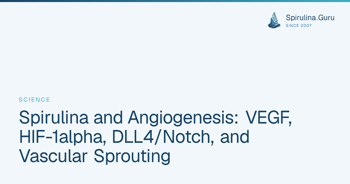 Spirulina and Angiogenesis: VEGF, HIF-1alpha, DLL4/Notch, and Vascular ...